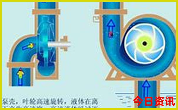 最有魅力的地方怎么回答